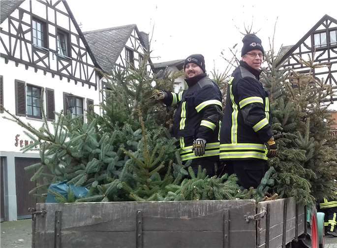 „Da geht noch was drauf“. Zwei der“ Tannenbaum-Belader“ unterwegs in Winningen. Privat