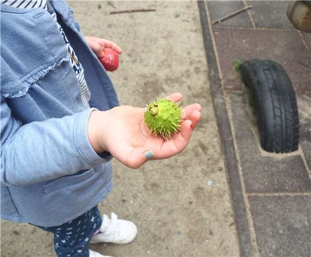 Da staunen die Kinder nicht schlecht: Die stachelige Kastanie hat Ähnlichkeit mit dem Corona-Virus.