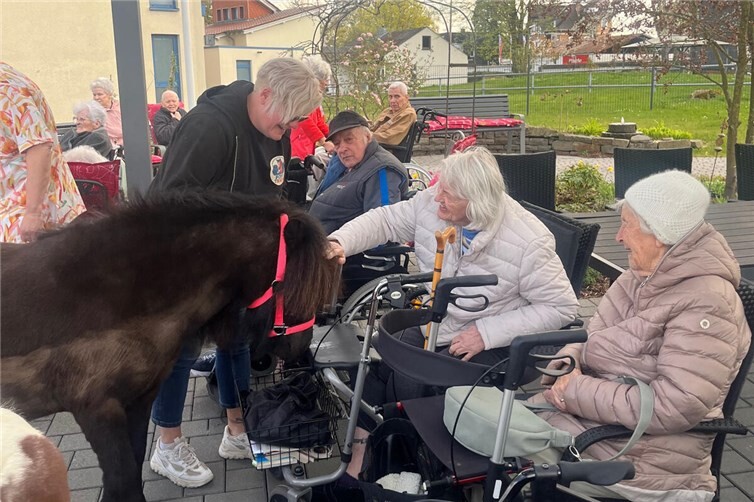 Da steht ein Pony im Sinnesgarten: Die tierischen Gäste sorgten sichtlich für Begeisterung bei den Bewohnerinnen und Bewohnern im Haus Helena. Und auch Lotte und Monty genossen die vielen Streicheleinheiten – und freuten sich über so manche Möhre.