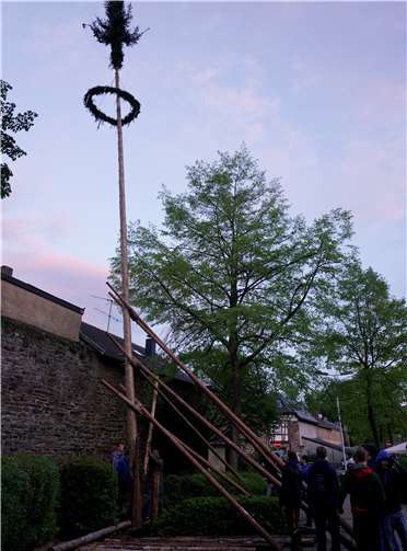 Da steht er der große Maibaum der die „Ovvehöde Jonge“.
