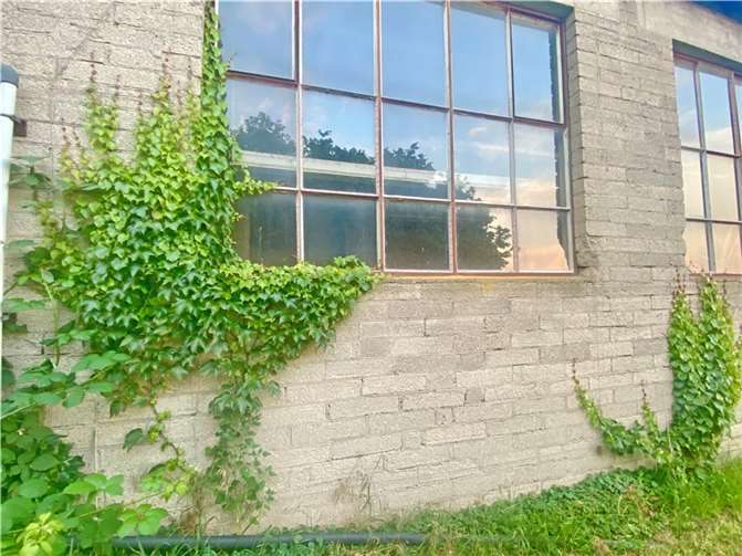 Dach- und Fassadenbegrünung wird gefördert.  Foto: Daniel Eberz-Eder