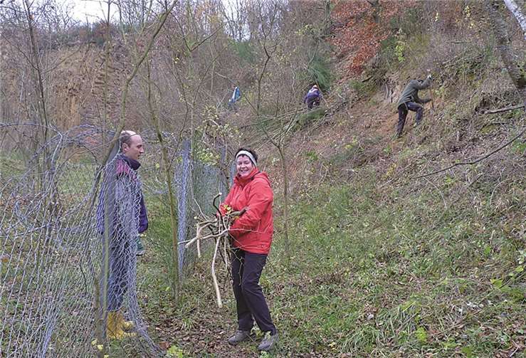 Dächelsberg - in einer großen NABU-Pflegeaktion legten Mitglieder und freiwillige Helfer das schützenswerte Biotop an mehreren Stellen frei und sicherten damit den Fortbestand dortiger seltenen Tier- und Pflanzenarten.