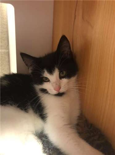 Daisy und ihr Geschwisterchen...