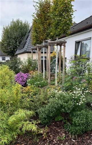 Damit aus der Hitze von heute, der kühlende Garten von morgen wird.  Foto: privat