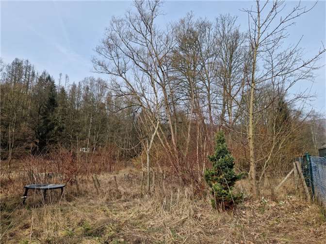 Damit die Baumaßnahmen starten können, müssen hier Zäune entfernt, abgelagerter Abfall entsorgt sowie einige junge Gehölze entfernt werden.  Foto: © SGD Nord