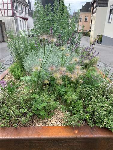 Damit sich auch zahlreiche heimische Tiere ansiedeln können, ist ein Grundgerüst aus heimischen Pflanzenarten unerlässlich.  Foto: Stadt Linz