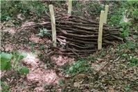 Zweite Dammbauaktion für verbesserten Hochwasserschutz im Rheinbacher Wald