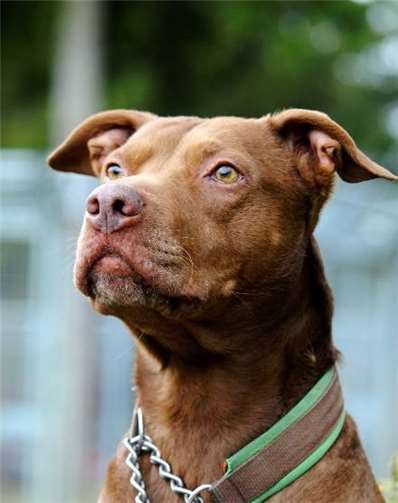 Dana - Knutschkugel. Privat