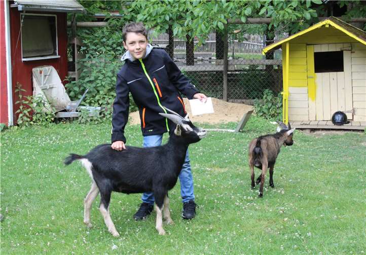 Daniel Hellwig im Schwanenteich.Foto: Walkenbach/Schwanenteich