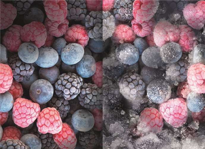 Dank der Total No Frost Technik nie wieder abtauen müssen: Das spart Energie und Geld.