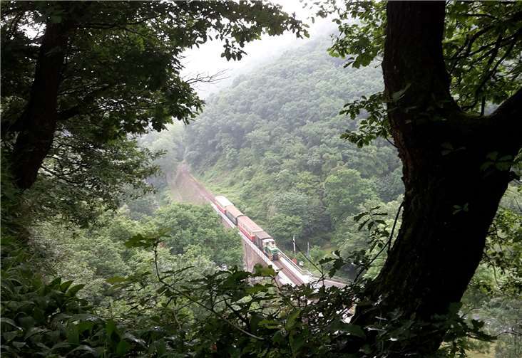 Dank der durchgeführten Maßnahmen können Wanderer jetzt wieder ungefährdet den Ausblick auf den Viadukt genießen. Foto: privat