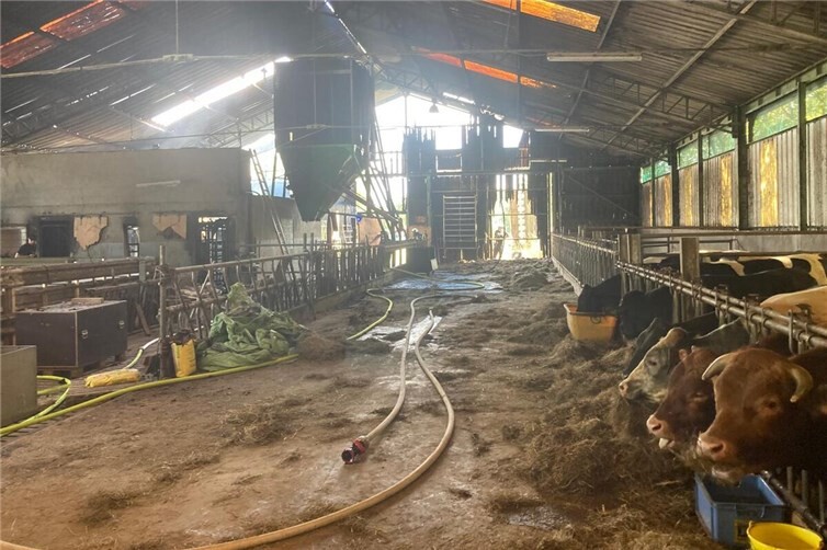 Dank des schnellen Eingreifens der Feuerwehr blieben Menschen und Tiere unverletzt.