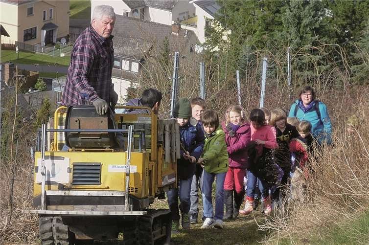 Dank einer genialen Idee Hubert Wetterauers erleichterten Wingertsraupe und Zugseil den 16 Kindern den Aufstieg in den Königinnenwingert. privat