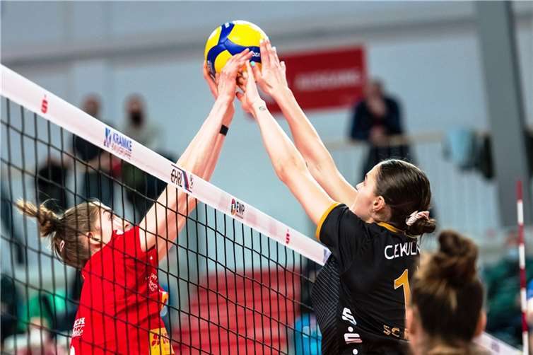 Dank ihres Kampfgeistes konnten die Deichstadtvolleys auch vor Schwerins „gelber Wand“ Sympathien gewinnen. Foto:Michael Dittmer