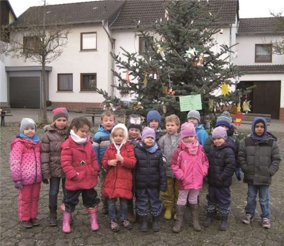Dank vieler kleiner und großer Helfer gelang das Schmücken der Villiprotter Tanne im Handumdrehen.privat