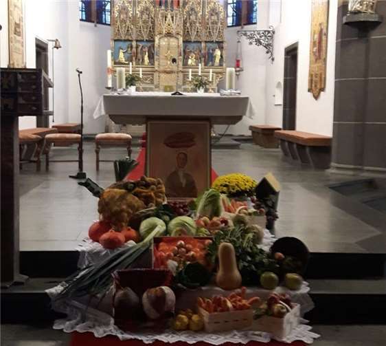 Dankbar sein für die Früchte und Gaben der Erde - darum geht es beim Erntedankfest. Foto: privat