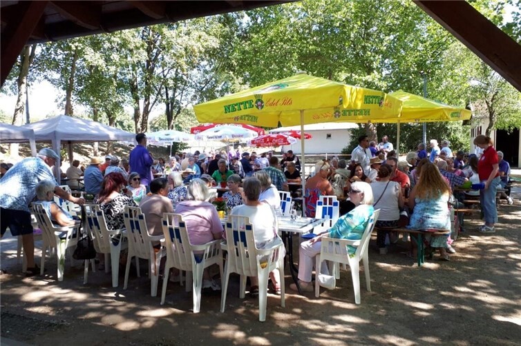 Sommerfest in Heddesdorf begeistert mit hoher Besucherzahl und vielfältigem Programm