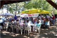 Sommerfest in Heddesdorf begeistert mit hoher Besucherzahl und vielfältigem Programm