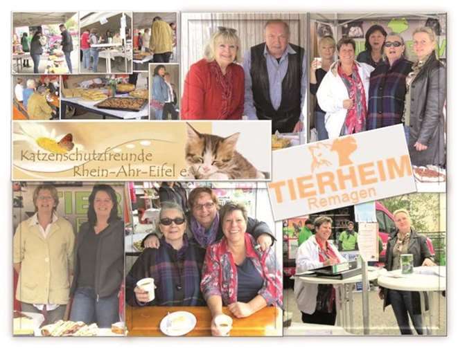 Danke der großzügigen Kuchenspenden konnten knapp 400 Euro für die Tiere des Tierheims Remagen und die Schützlinge der Katzenschutzfreunde eingesetzt werden. Privat