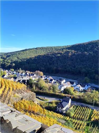 Das Ahrtal bei Walporzheim im Herbst 2022. Foto: Stefani Jürries