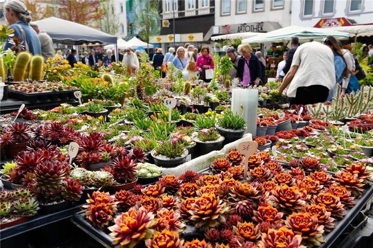 Das Angebot war nicht nur vielfältig, sondern ging auch in die Tiefe. Viele Anbieter waren spezialisiert aufgestellt 