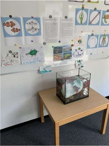 Das Aquarium, mit dem das Projekt durchgeführt wurde.  Foto: privat