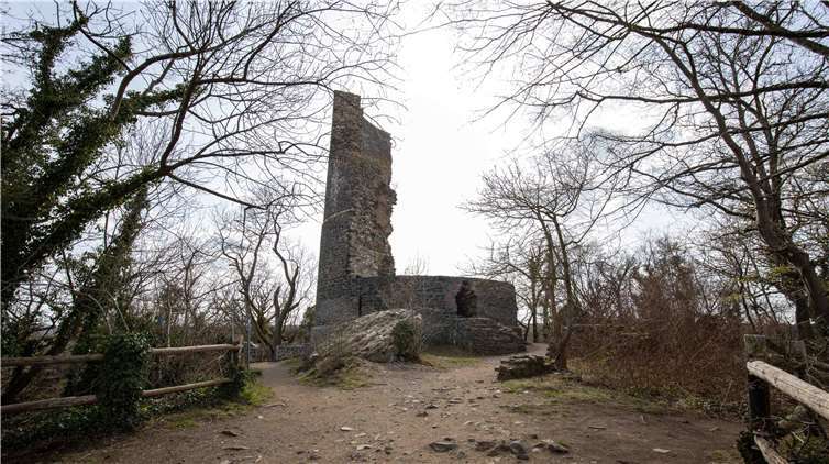 Das Areal um die Tomburguine ist normalerweise auchSchauplatz des traditionellen Ritterschlags der Tomburgritter.