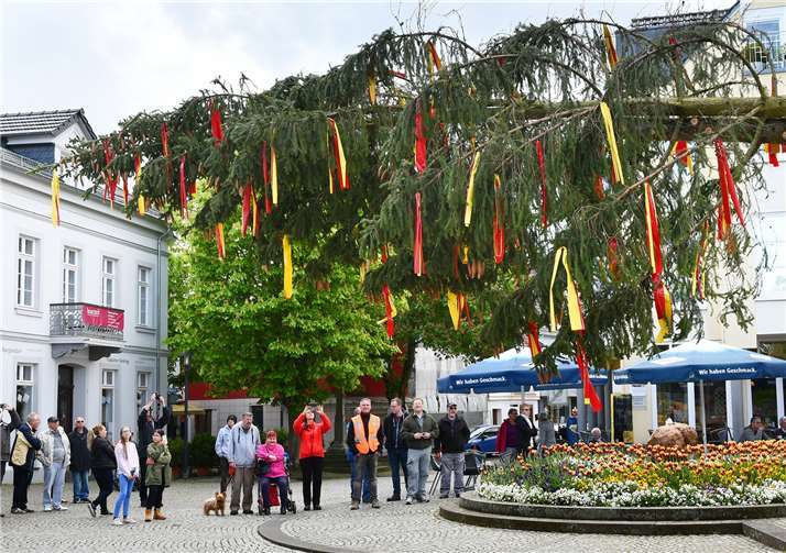 Das Aufstellen des Maibaumes hat schon einen kleinen Volksfest-Charakter.