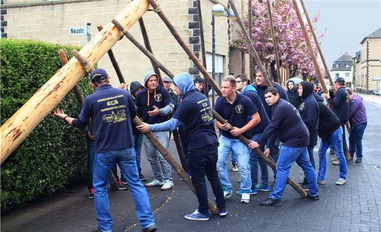 Das Aufstellen des Maibaums -wie hier am 30.4.2015- ist Aufgabe der beiden Vereine „Kirmesgesellschaft Obermendig“ und „TuS grün-weiss Mendig (Abt. Handball)“, die diesen „Job“ stets bravurös erledigen. privat