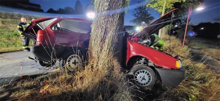 Das Auto kollidierte mit einem Baum. Foto: Winkler TV