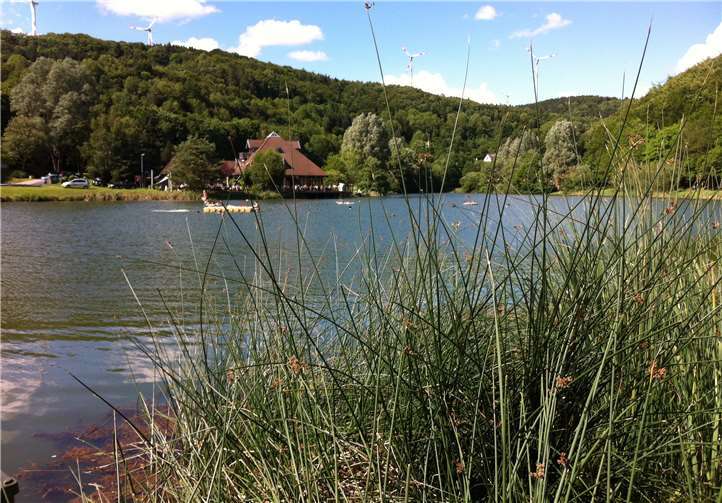 Das Baden am Riedener Waldsee ist wieder erlaubt. Foto: privat