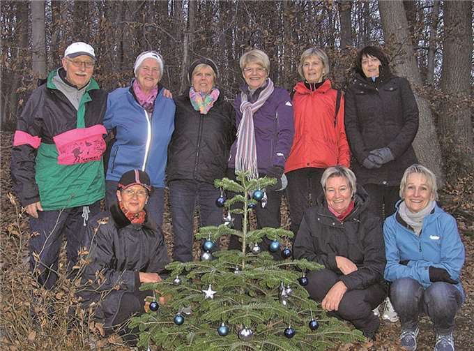 Das Bäumchen ist fertig für die Adventszeit. privat