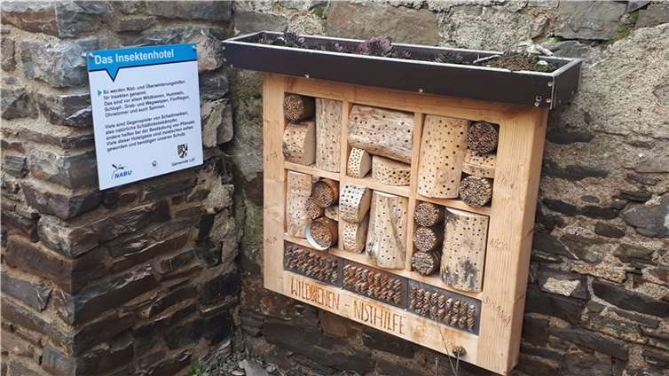 Das Bienenhotel am Nachbarschaftsplatz Niederbach. Quelle: Ortsgemeinde Löf-Kattenes
