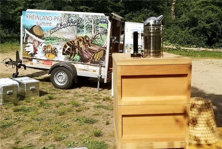 Das Bienenmobil als Lernort: Pädagogisches Werkzeug für den Wald. Fotos: Forstamt Cochem