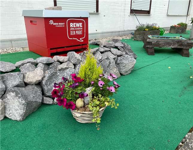 Das Bienenvolk soll erstmal für drei Jahre auf dem Dach bleiben. Fotos: privat