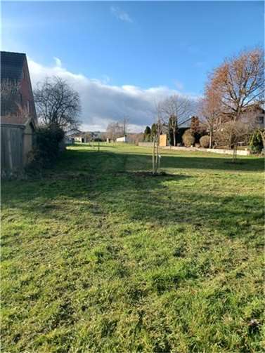 Das Bild der Freiflächen veränderte sich in eine kleine Streuobstwiese.  Foto: Stadt Polch
