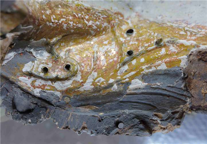 Das Bild von der Borte zeigt das Ablösen der grauen Farbschicht.