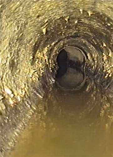 Das Bild zeigt deutlich die Fettablagerungen, die auch häufig in den Abwasserrohren von Häusern vorkommen. Dann passiert es schnell, dass es zu Rückstaus kommt. Das kann richtig teuer werden.Foto: SBN