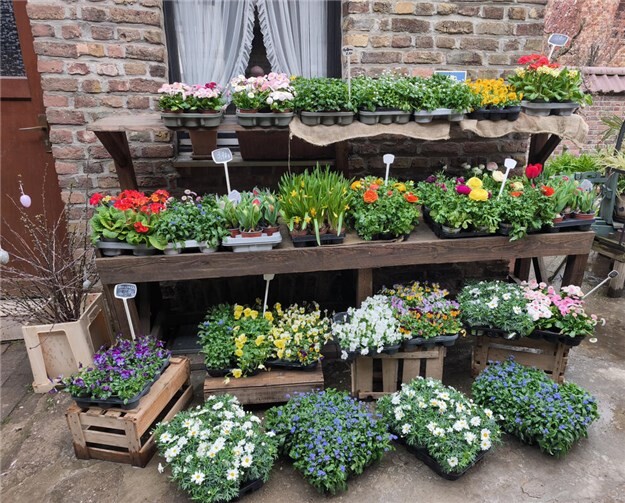 Das Blütenfest geht in diesem Jahr in seine 16. Auflage.