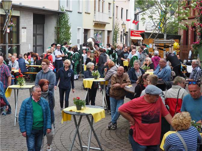 Das Blütenfest zog wieder zahlreiche Besucher an.