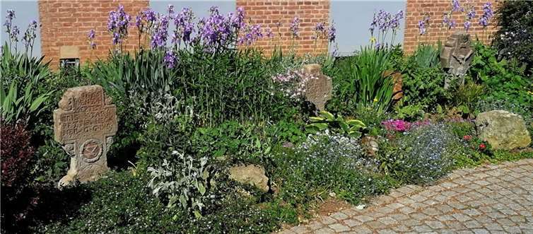 Das Blumenbeet am Pfarrheim.  Foto: privat