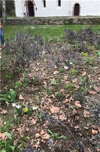 Das Blumenbeet vorher…