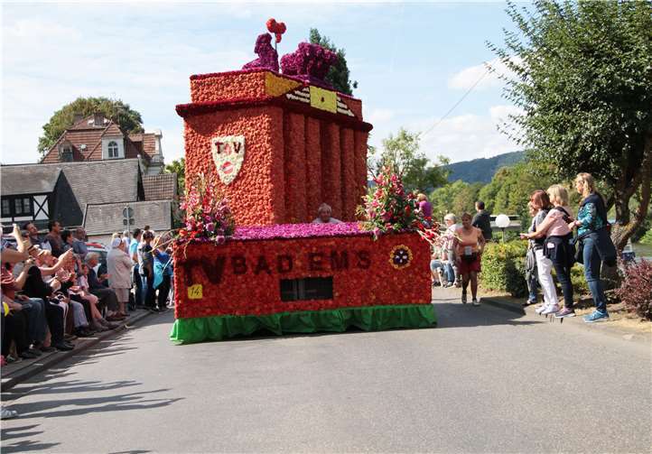 Das Brandenburger-Tor im Blütenkleid.