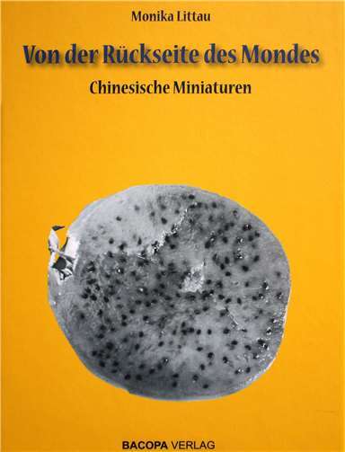 Das Cover des neuen Buches von Monika Littau. Foto: HG