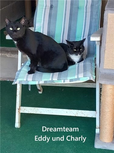 Das Dreamteam Eddy und Charly. Foto: privat