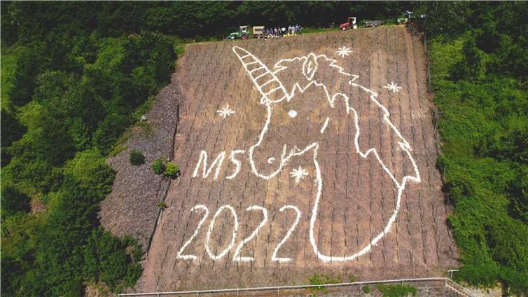 Das Einhorn im Weinberg.