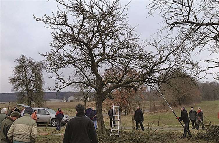 Das Erlernte wird direkt in der Praxis angewandt.