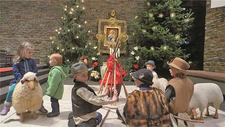 Das Feld der Schafe war großer Anziehungspunkt für die Kleinsten.privat