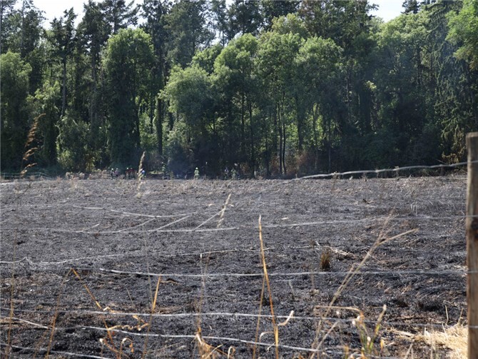 Das Feuer fraß sich über einen Acker in Richtung Wald.
