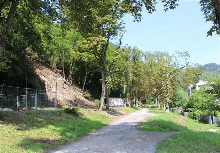 Das Flair der Kastanienallee geht nach und nach verloren.Bürgerstiftung Bad Ems